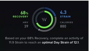 Whoop Strain - Everything You Need To Know