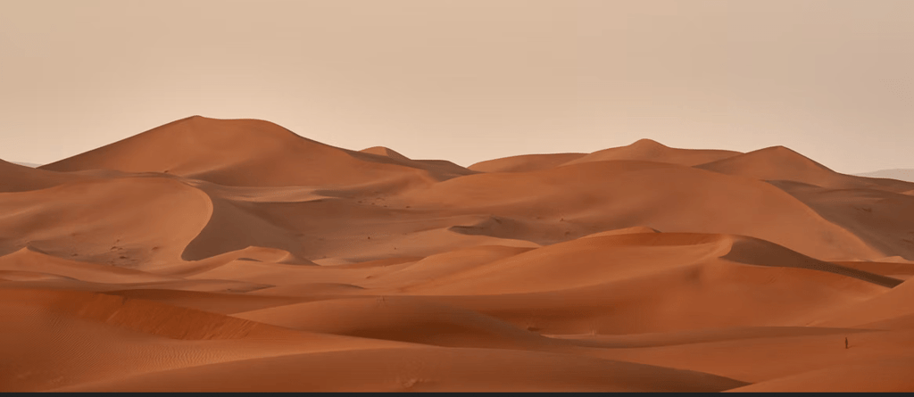 Image|Unsplash, https://images.unsplash.com/photo-1542401886-65d6c61db217?crop=entropy&cs=tinysrgb&fm=jpg&ixlib=rb-1.2.1&q=80&raw_url=true&ixid=MnwxMjA3fDB8MHxwaG90by1wYWdlfHx8fGVufDB8fHx8&auto=format&fit=crop&w=1170