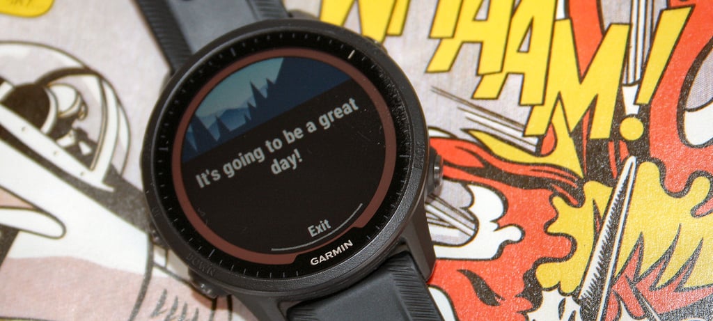 ガーミン 955forerunner garmin Garmin Forerunner® 955 | Premium Running Watch