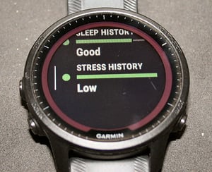 Garmin Morning Report Training Readiness - Factors
