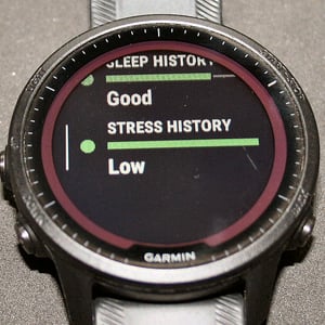 Garmin Morning Report Training Readiness - Factors