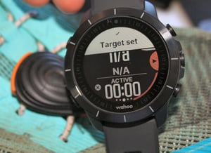 Wahoo Elemnt Rival Target Plan