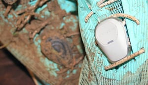 Coros pod 2 versus stryd