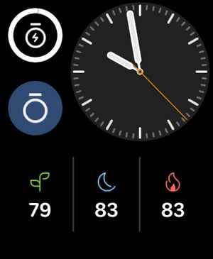 Important ! - Oura Ring Integrates With Apple Watch - Garmin To Follow?