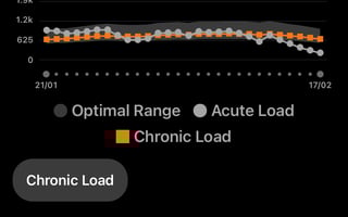 Garmin Chronic Load