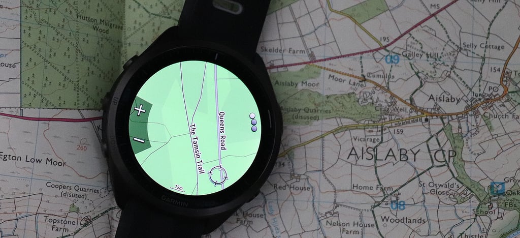 Garmin Forerunner 965 map (2)