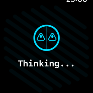 Watchgpt Added To Apple Watch Store