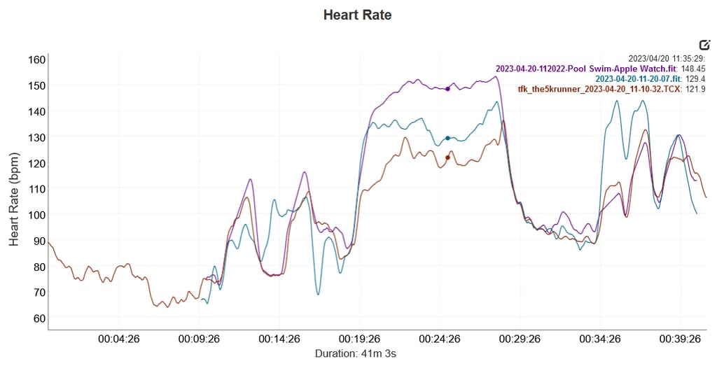 Is Garmin 965 Accurate? Full Report