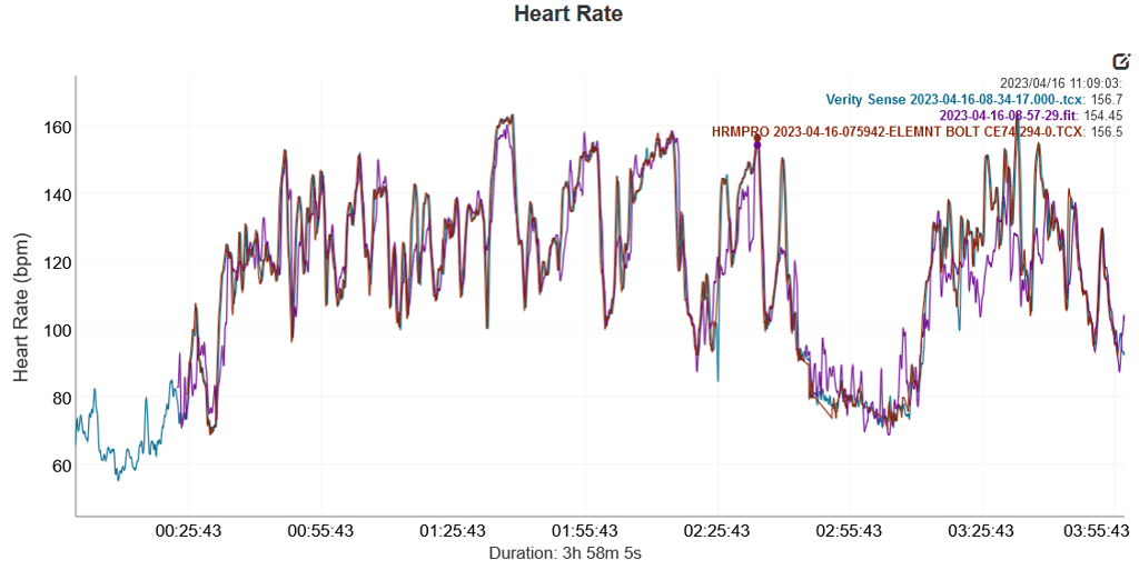 Is Garmin 965 Accurate? Full Report