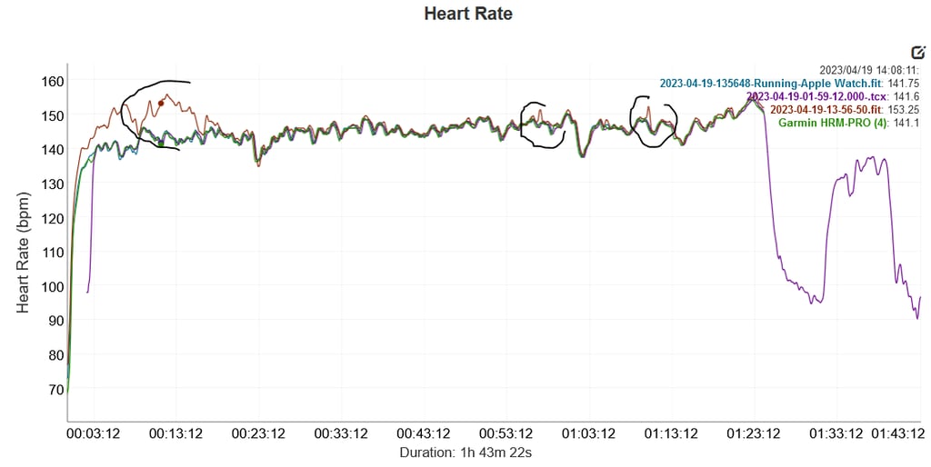 Is Garmin 965 Accurate? Full Report
