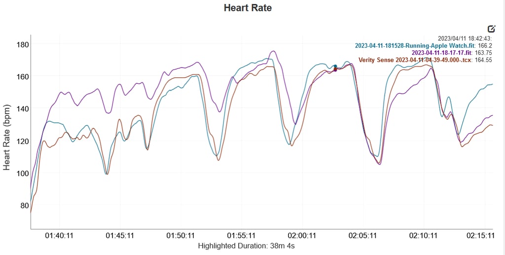 Is Garmin 965 Accurate? Full Report