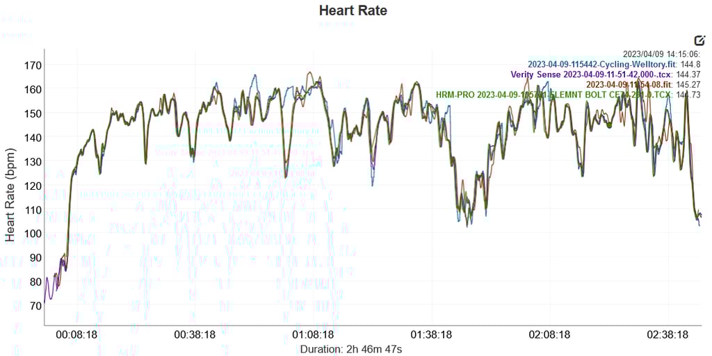 Is Garmin 965 Accurate? Full Report