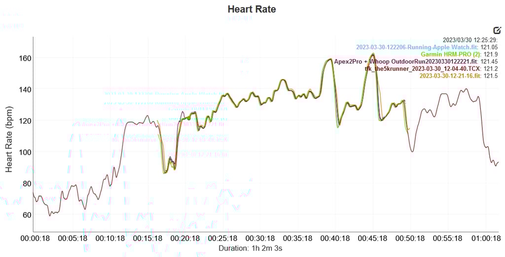 Is Garmin 965 Accurate? Full Report
