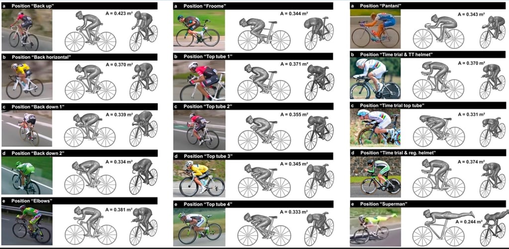 Coefficient Cycling Rr Bars Review