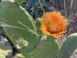 Madeira Road Bike Trip + 48a Volta A Madeira