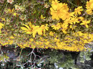 Madeira Road Bike Trip + 48a Volta A Madeira