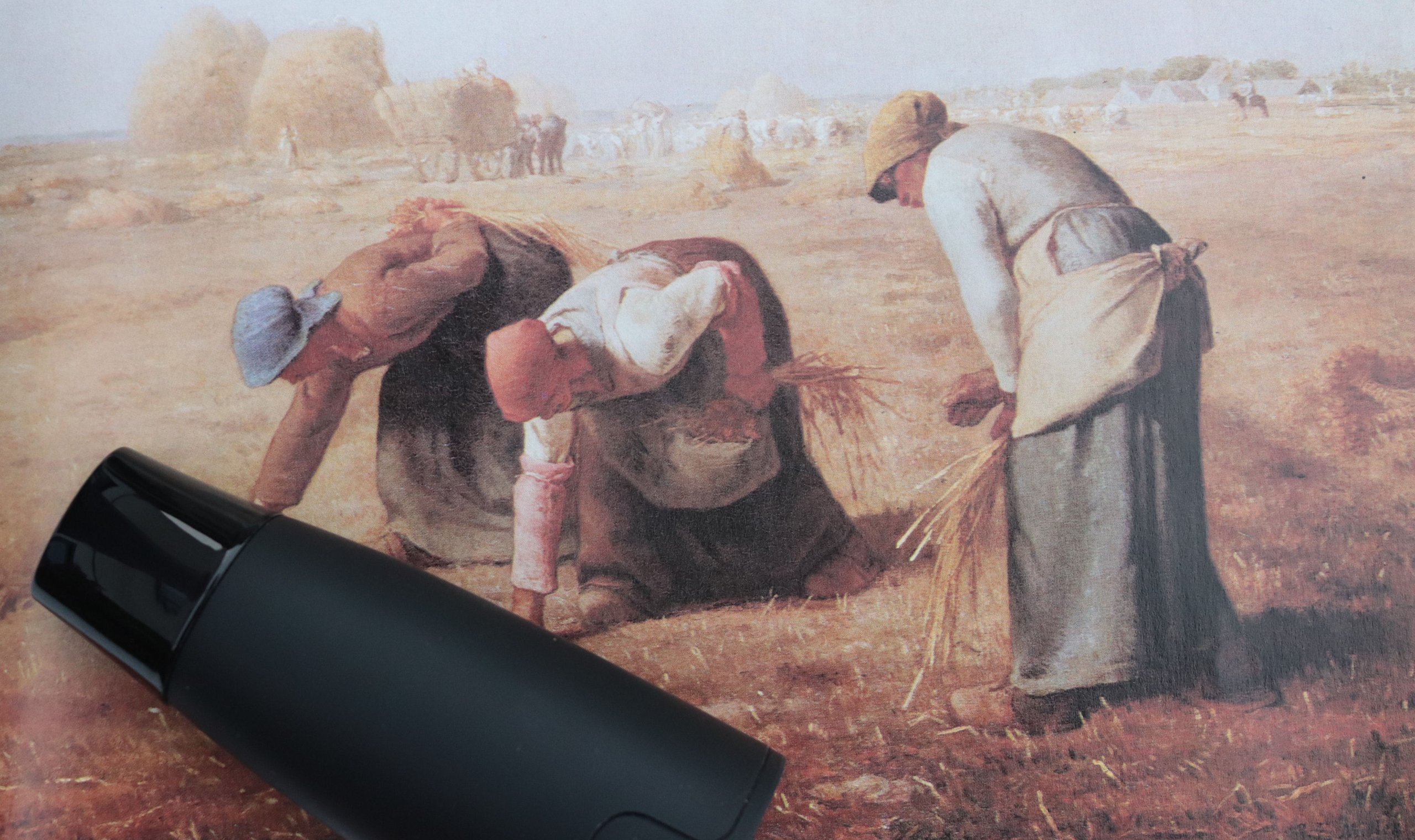 Group using Lumen food log app to select carbs and monitor metabolism impact on fat burning