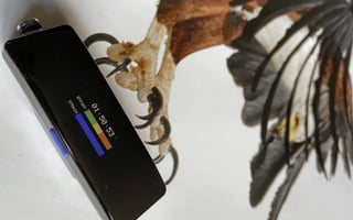 fourth Frontier X2 display Review