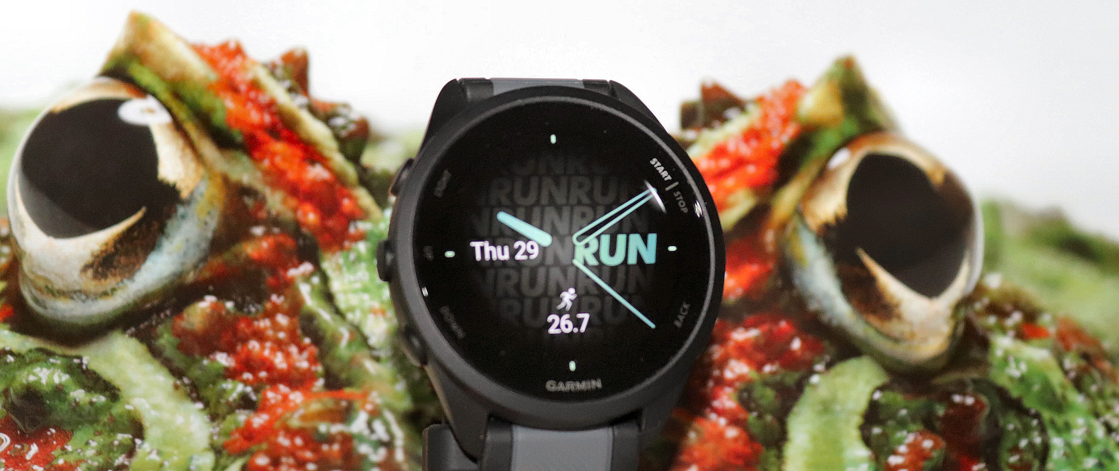 GARMIN FORERUNNER 165 フォアランナー165 Forerunner 165 | スマートウォッチ | Garmin 日本