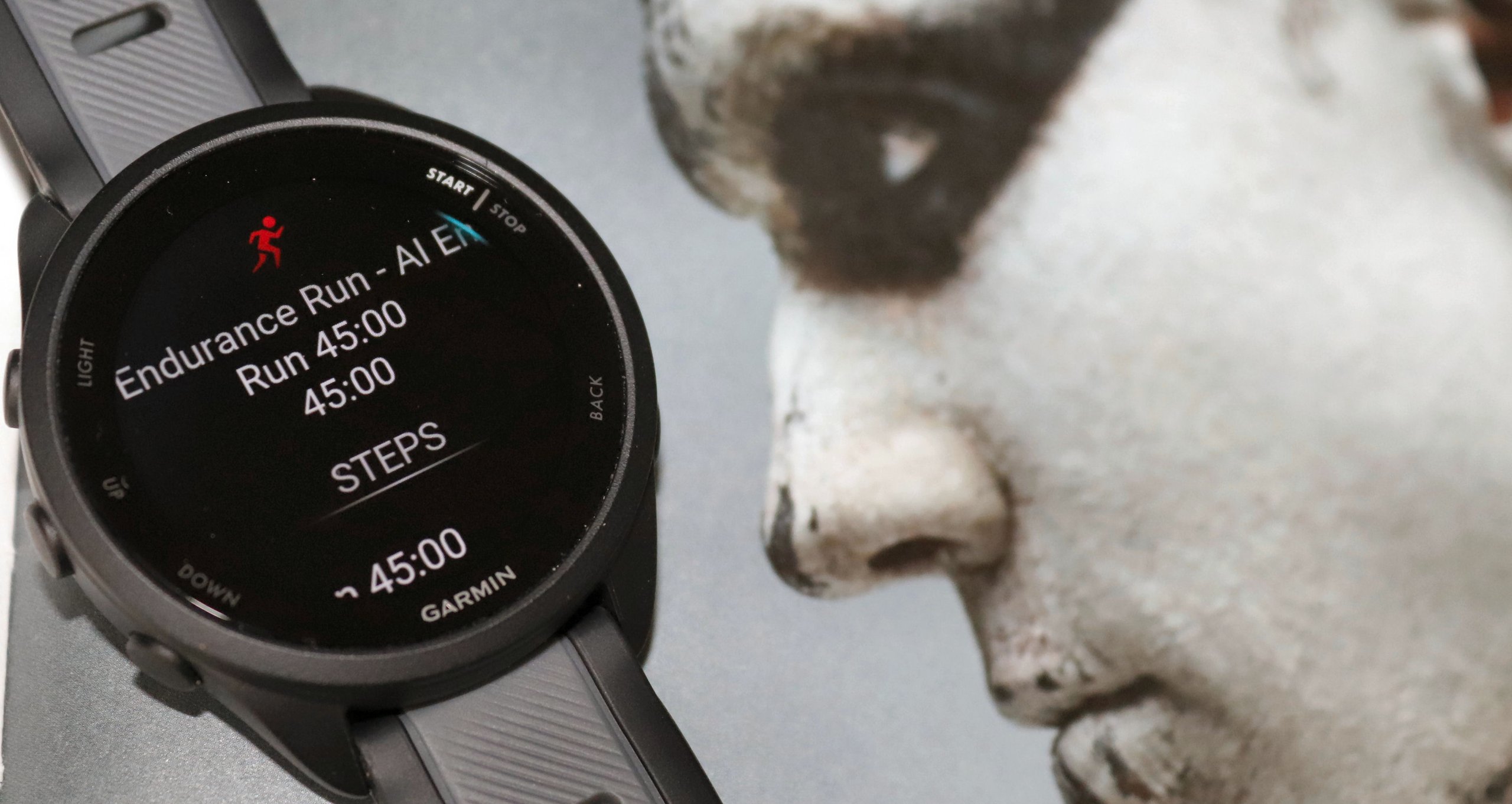 Garmin Forerunner 165 Music displaying structured workout steps on AMOLED screen