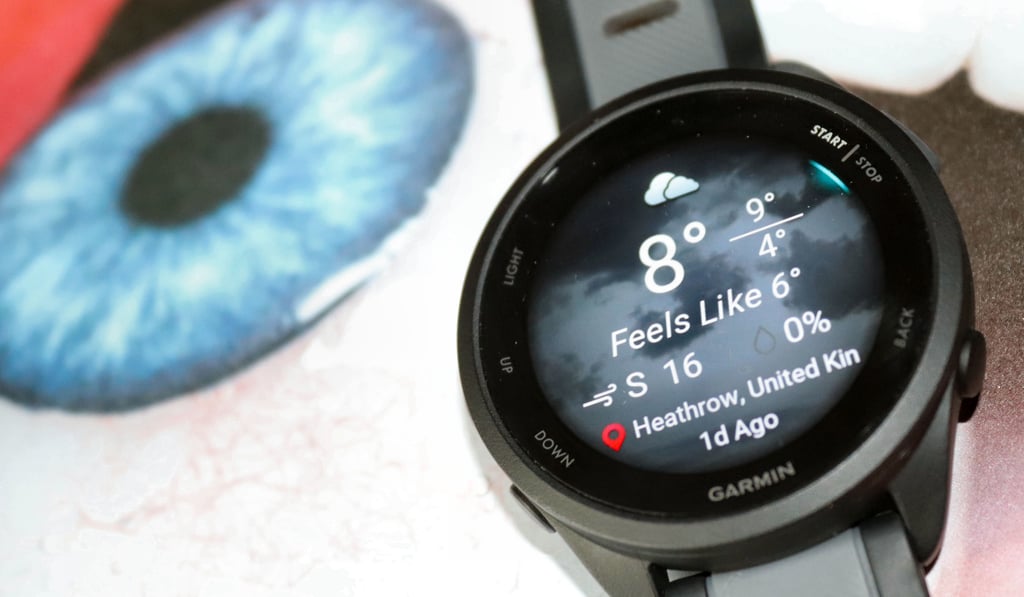 Garmin Forerunner 165 Weather Widget