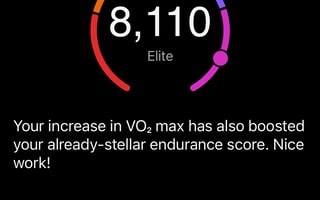 Garmin Calls Me Elite - Endurance=8,110 - Misleading Or Motivating?