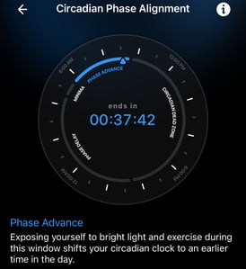 Circadian Phase Alignamet
