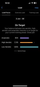 Garmin training Load focus