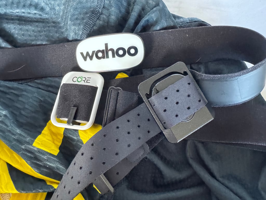 Flowbio Sweat And Hydration Sensor - First Thoughts