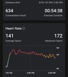 Ringconn Review - 8 Pros ✔️ 2 Cons ❌