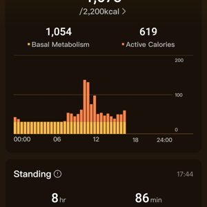 Ringconn Review - 8 Pros ✔️ 2 Cons ❌