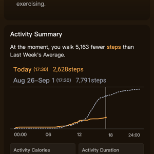 Ringconn Review - 8 Pros ✔️ 2 Cons ❌