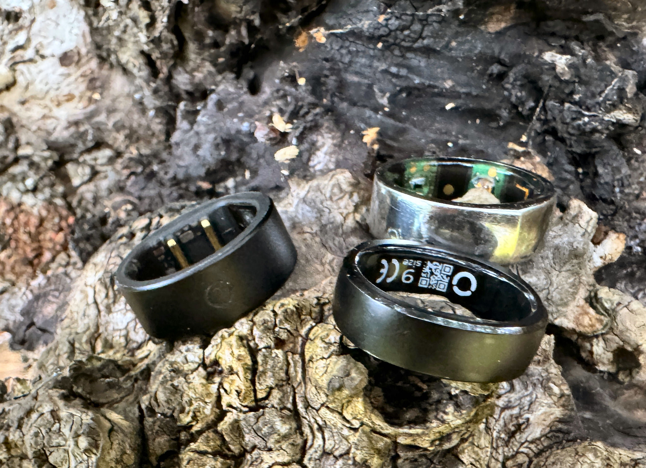 RingConn and Oura smartrings together on a branch