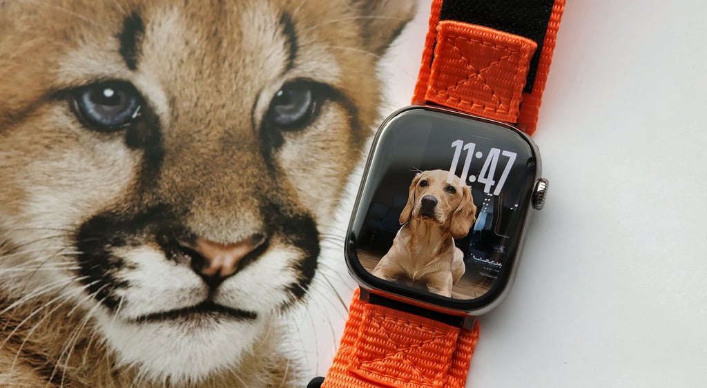 Apple Watch 10 photos watch face watchos 11