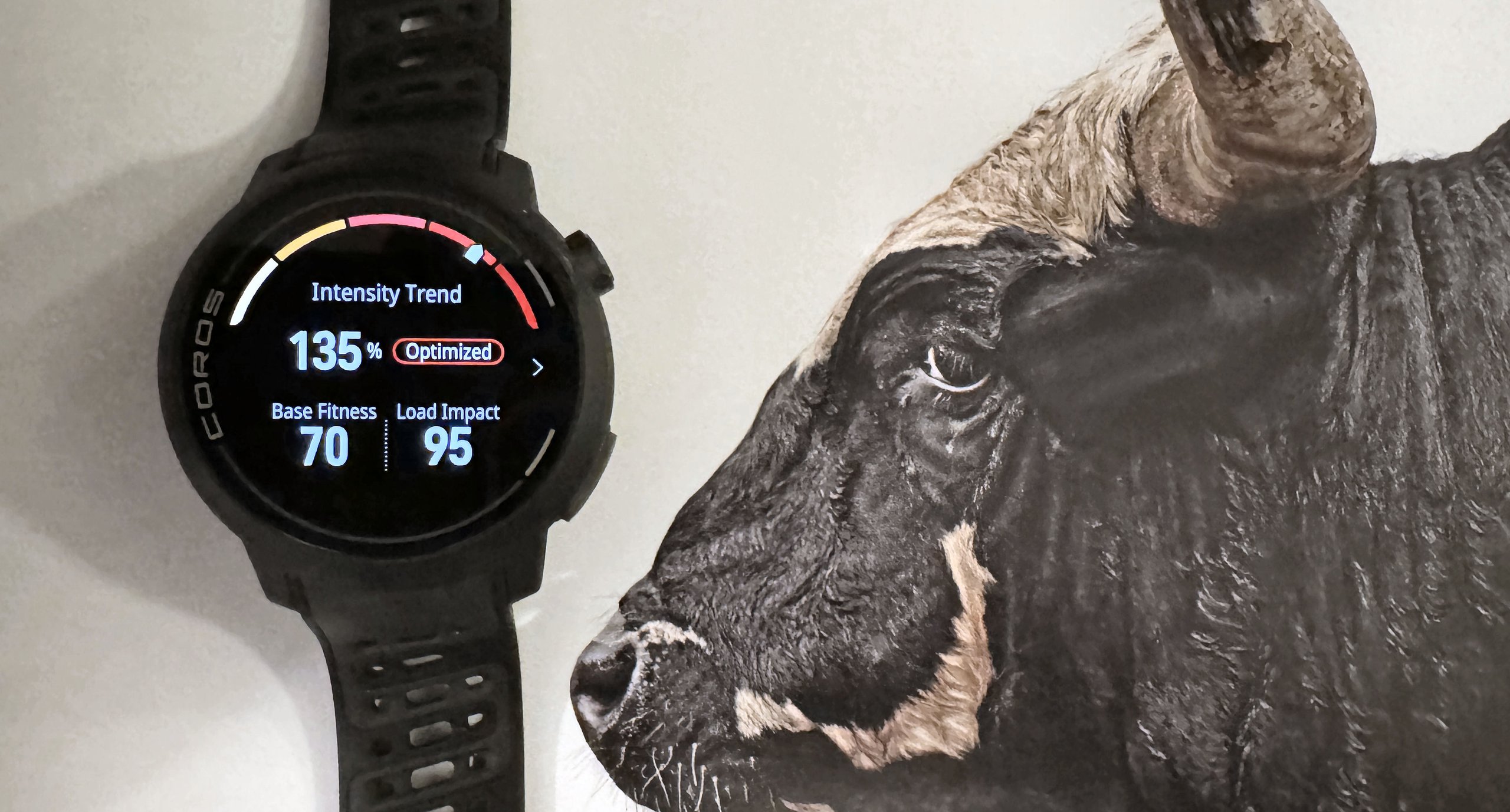 Coros Pace Pro Review ❌ better alternatives exist