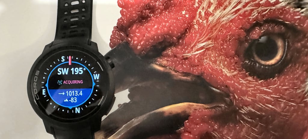 Coros Pace Pro Specifications