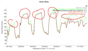 Heart Rate Test Results 8