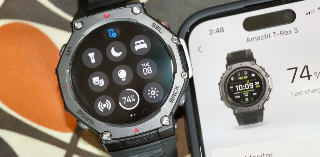 Zepp amazfit T-Rex 3 battery