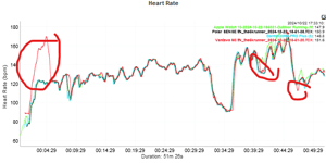 heart rate test result: short sprints