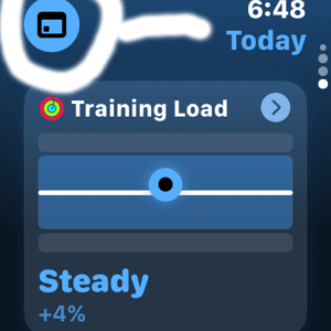 Training Load - today