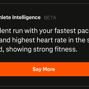 Strava Ai - Any Use In The Real World ? Opinion