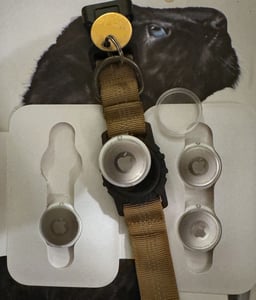 best airtag collar for dogs