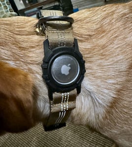 best airtag collar for dogs