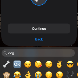 Airtag - My Perfect Dog Collar Airtag Holder