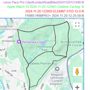wahoo elemnt ace gps gnss accuracy test result - richmond park 5