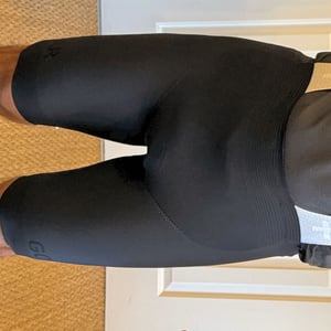 GOREWEAR Ultimate Bib Shorts