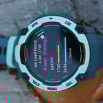 Training Load focus Widget