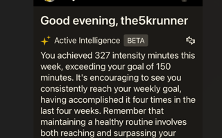 Garmin Ai - It's Fake