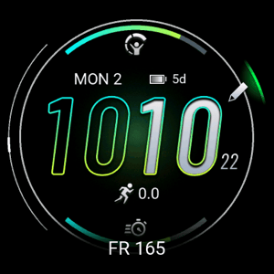 Garmin forerunner watch face FR 165