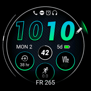 Garmin forerunner watch face FR 265